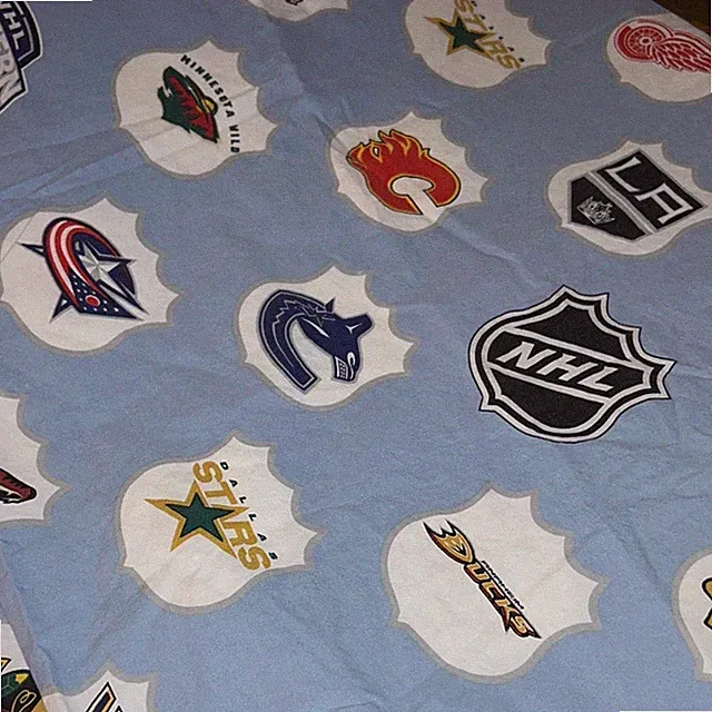 PB Teen NHL Western Conference twin flat sheet included