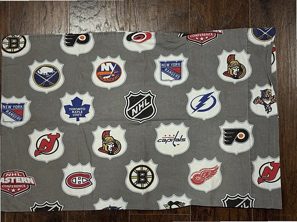Pottery Barn Teen NHL Hockey Team Logo pillowcase